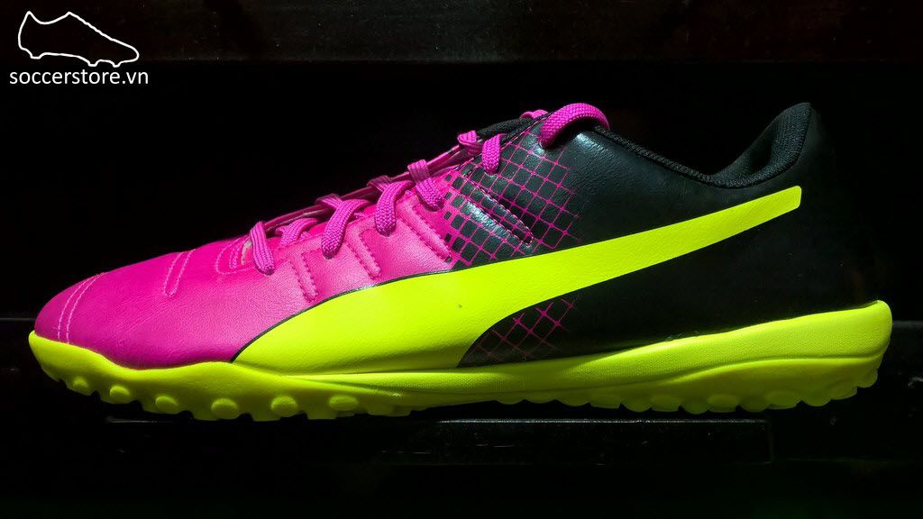 evopower 4.3
